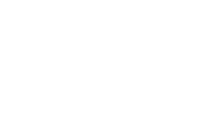 SDLV Logo