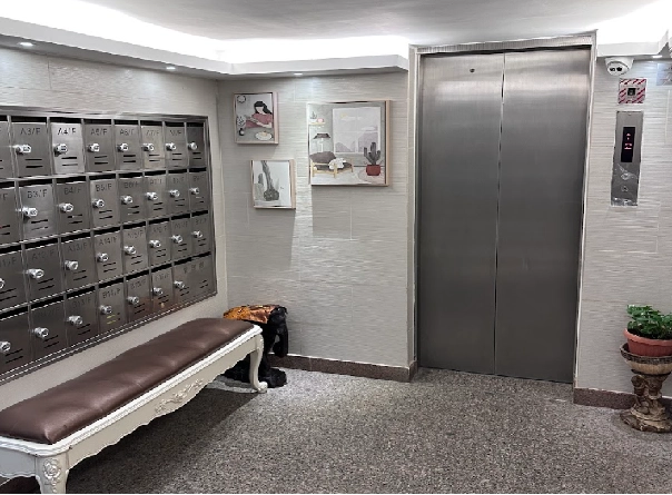 公共区域 一楼电梯口信封区域